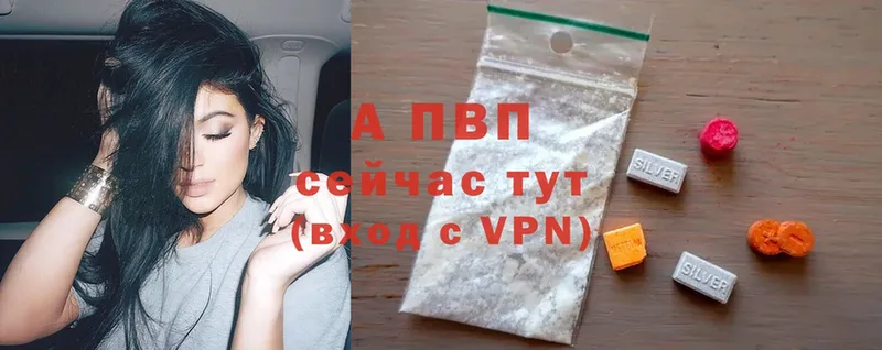 A PVP крисы CK Алагир