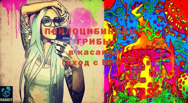 прущая мука Пересвет