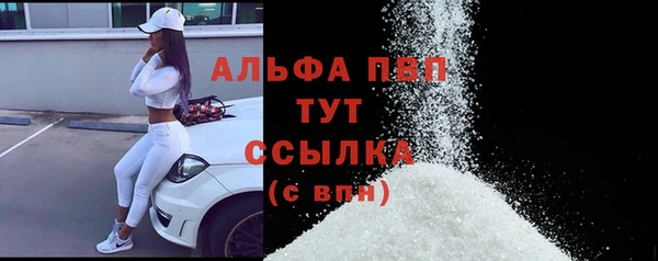 прущая мука Пересвет