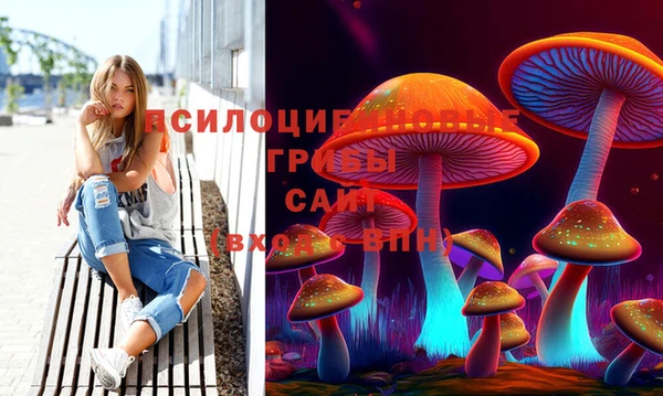 стаф Пестово