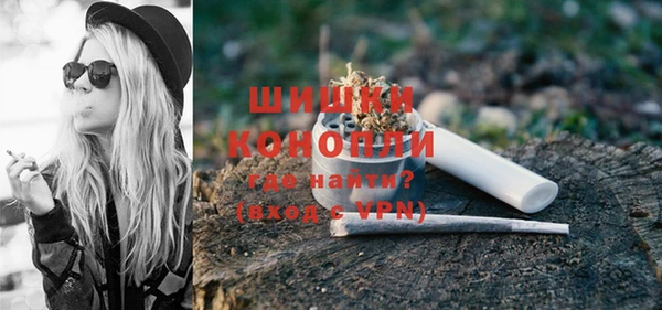 стаф Пестово