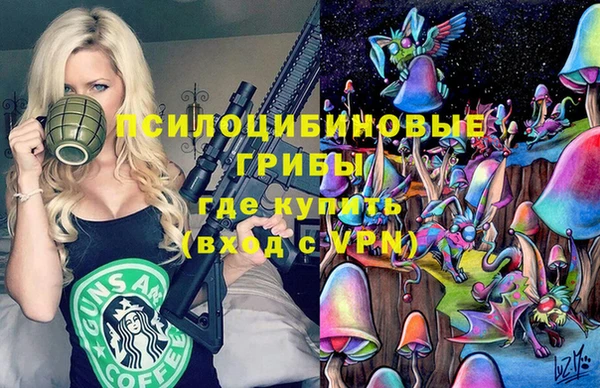 стаф Пестово