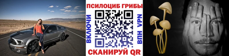 MEGA сайт  Алагир  Псилоцибиновые грибы Psilocybe 
